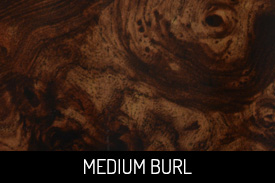 Medium Burl